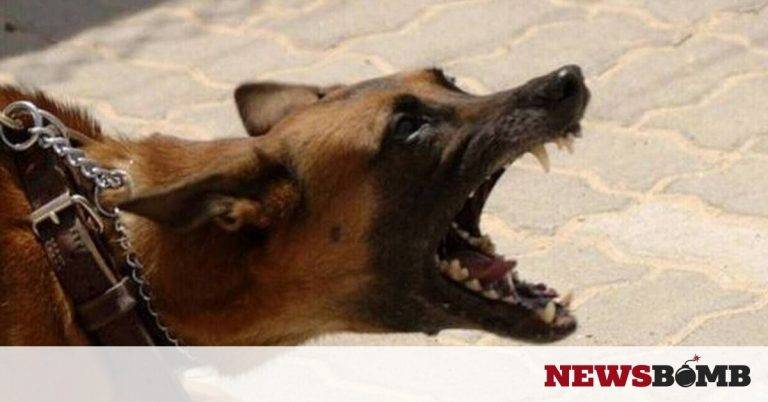 Λαμία: Σκύλος επιτέθηκε σε ντιλιβερά