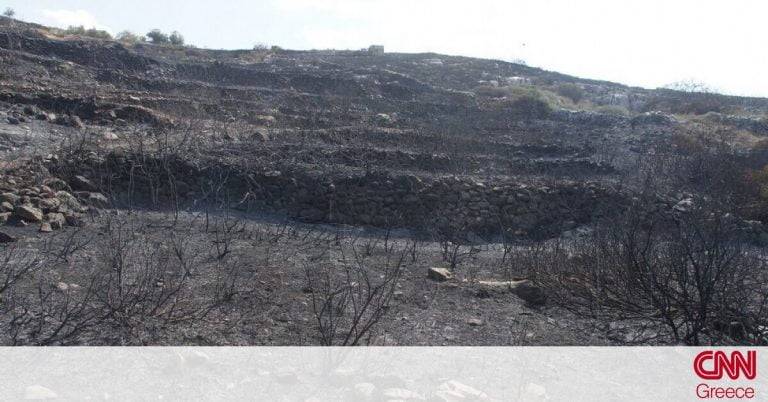 Πάρος: Πώς ξεκίνησε η μεγάλη φωτιά – Συγκλονιστικές εικόνες από το τοπίο σήμερα