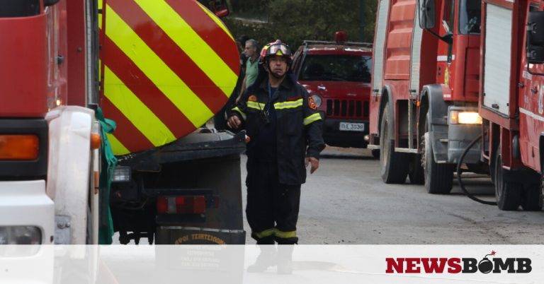 Πυρκαγιά στο Άλσος Βεΐκου – Στο σημείο ισχυρή δύναμη της πυροσβεστικής