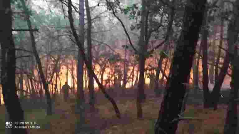 Συνεχίζεται η μάχη με τις φλόγες στον Έβρο- Αποκλειστικές εικόνες – OTA VOICE