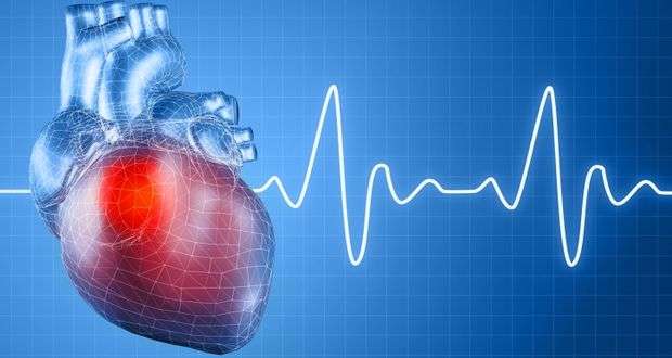 Επίθεμα επιδιορθώνει τα αγγεία της καρδιάς | in.gr