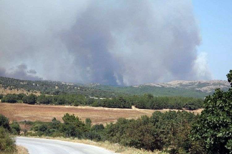 Ενισχύονται οι πυροσβεστικές δυνάμεις για την κατάσβεση της φωτιάς στη Λευκίμμη – OTA VOICE