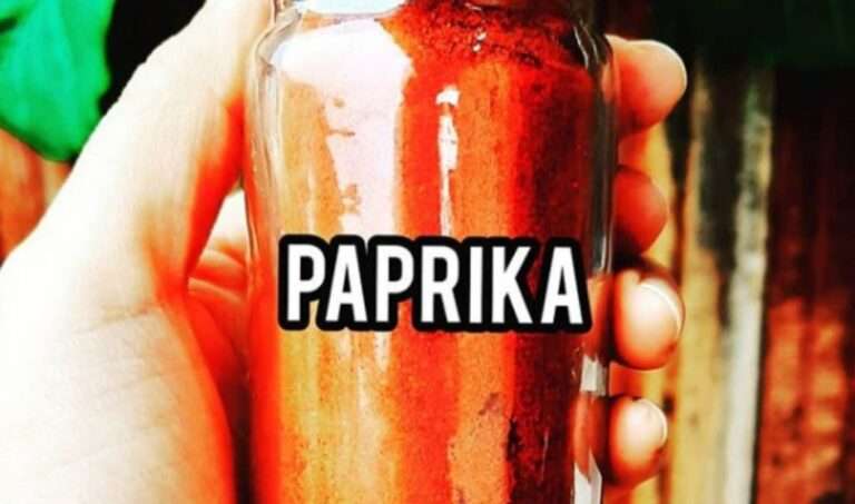 Πάπρικα: Αυτά είναι τα επιστημονικά οφέλη του πικάντικου μπαχαρικού | in.gr