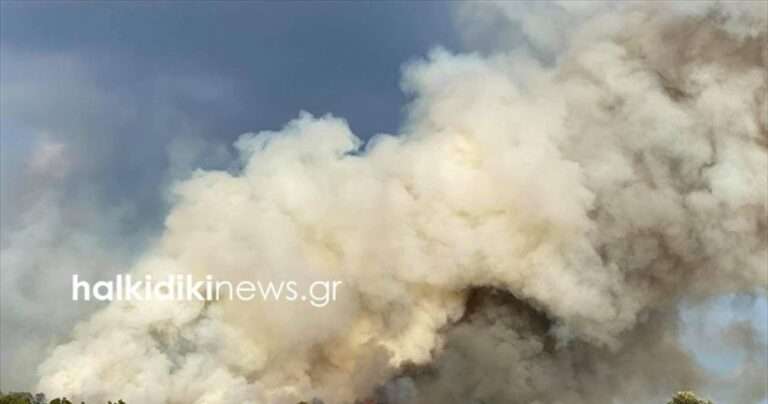 Χαλκιδική: Δασική πυρκαγιά στη Σιθωνία