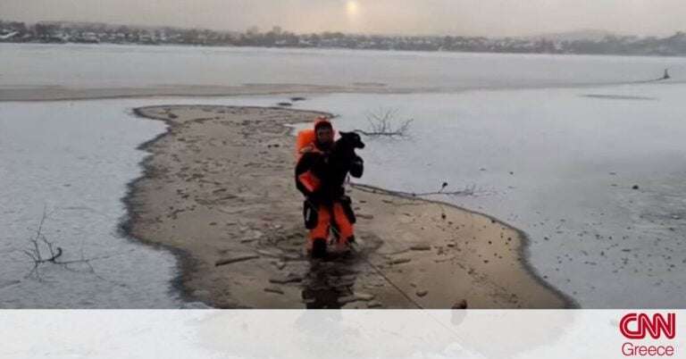 Ρωσία: Η ηρωική διάσωση ενός σκύλου που παγιδεύτηκε σε παγωμένη λίμνη