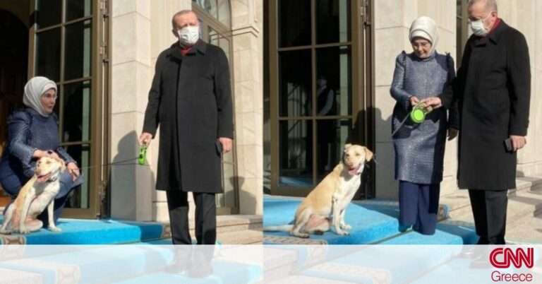 Λεμπλεμπί ή αλλιώς… στραγάλι: Πρωτοσέλιδο στην Τουρκία ο σκύλος του Ερντογάν