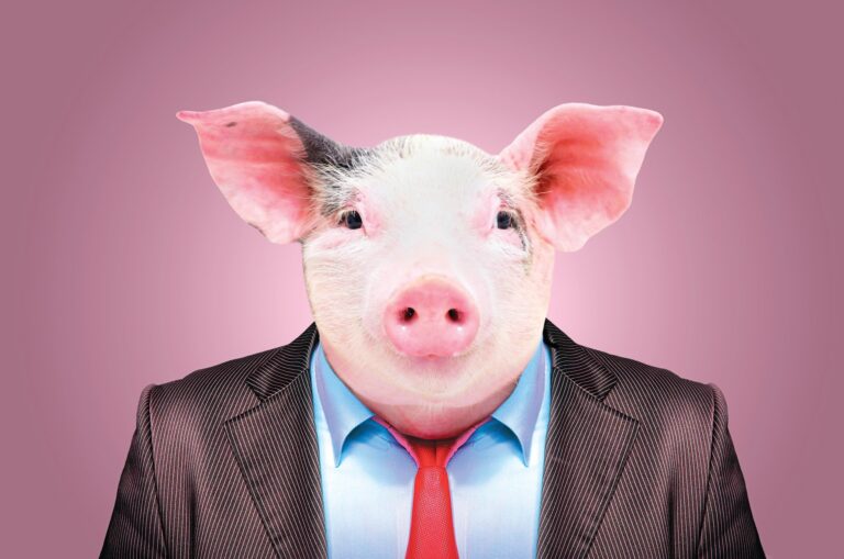 «Το γουρούνι της πολιτικής με το ντιβάνι στο γραφείο του» | newsbreak