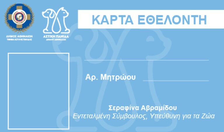 Εθελοντισμός για τα αδέσποτα με πλήρη οργάνωση και εκπαίδευση από τον Δήμο Αθηναίων | newsbreak