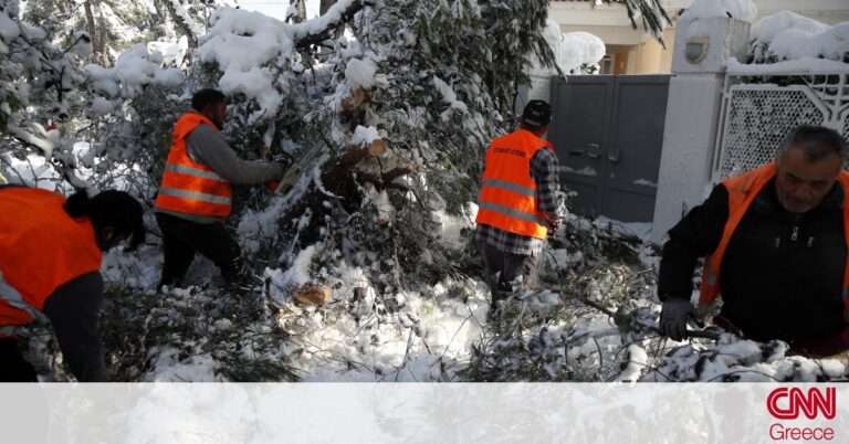 Κακοκαιρία «Μήδεια»: Πώς εξηγεί το meteo την πτώση τόσων δέντρων