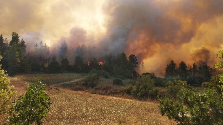 Ηλεία: Κρατείται ο 65χρονος που συνελήφθη για απόπειρα εμπρησμού