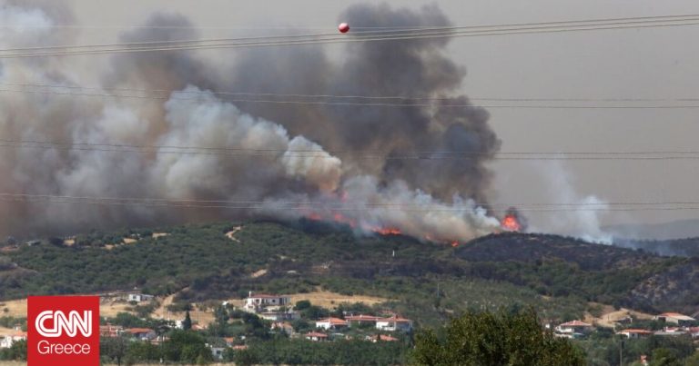 Copernicus για Αλεξανδρούπολη: «Η μεγαλύτερη καμένη έκταση σε ευρωπαϊκό έδαφος εδώ και χρόνια»