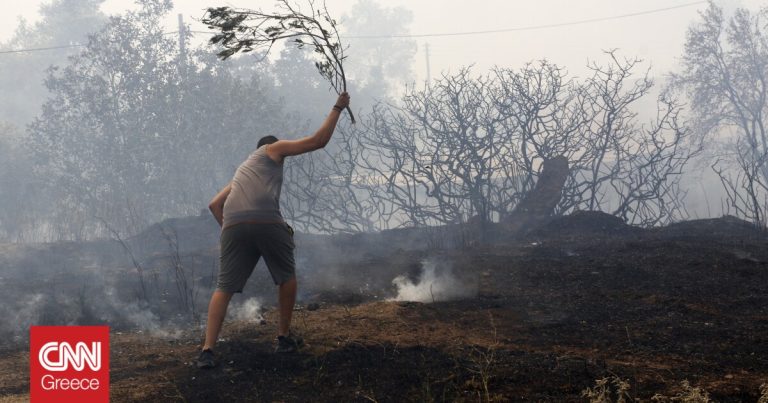 Φωτιά στον Αυλώνα: «Ανά τέταρτο και μια φωτιά, δεν είναι τυχαίο», λέει ο δήμαρχος Ωρωπού