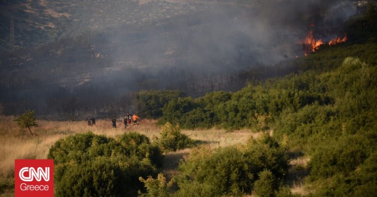 Φωτιά σε Σέρρες και Τρίπολη: Συναγερμός στην Πυροσβεστική