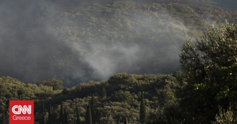 Φωτιά στη Φθιώτιδα: Υπέκυψε ο 67χρονος μελισσοκόμος που πήγε να σώσει τα μελίσσια του