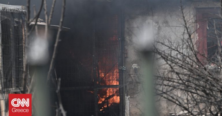 Πυρκαγιά στην Πάρνηθα: Μετρούν τις πληγές τους οι κάτοικοι – «Κόποι μιας ζωής έγιναν στάχτη»