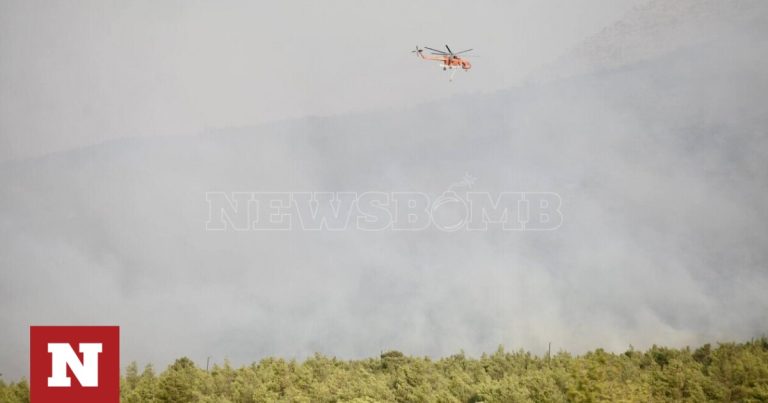 Φωτιές: Ακόμα ένας νεκρός μετανάστης στον Έβρο – Η εικόνα από τα μέτωπα σε Φυλή, Αλεξανδρούπολη και Βοιωτία