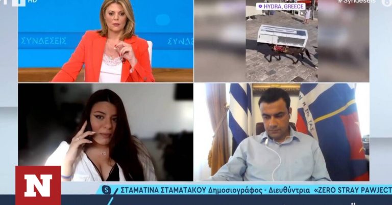 Δήμαρχος Ύδρας για το γαϊδουράκι που φορτώθηκε ψυγείο: «Γίνεται 200 χρόνια στο νησί»