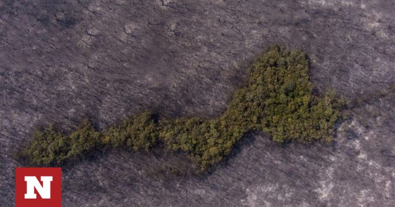 Φωτιά στη Δαδιά: Ξεκίνησε από το σημείο όπου βρέθηκαν απανθρακωμένοι οι μετανάστες