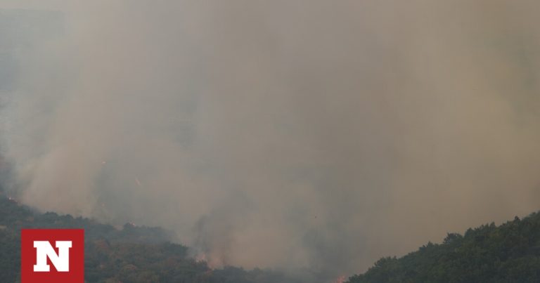 Φωτιά στην Αλεξανδρούπολη: «Κάηκαν 10 εκατ. μέλισσες, τα κοριτσάκια μου»