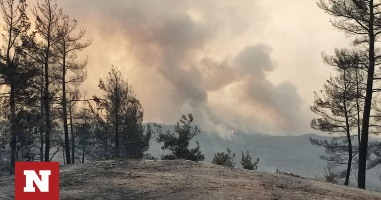 Έβρος: Θα απαγορευτεί το κυνήγι λόγω της δασικής πυρκαγιάς