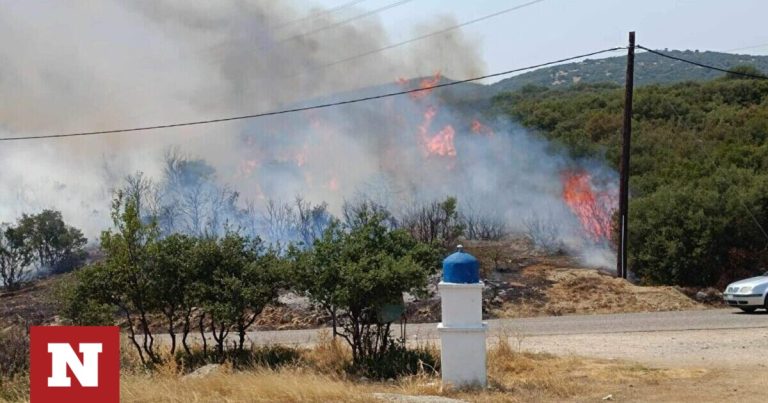 Φωτιά και στα Φάρσαλα – Καίγεται δάσος στο Ναρθάκι