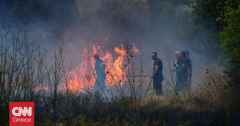 Φωτιά στην Ορεστιάδα: Ανεξέλεγκτο το πύρινο μέτωπο λόγω ισχυρών ανέμων