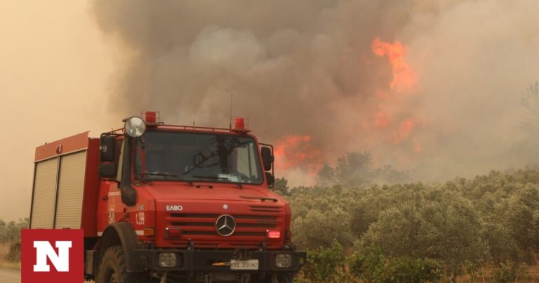 Φωτιά τώρα στο Δίστομο