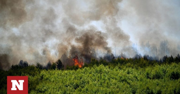 Meteo: Περισσότερα από 1.200.000 στρέμματα έχουν καεί έως την 23.08.2023