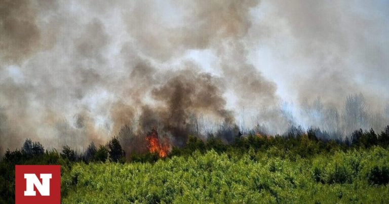 Φωτιά στον Αυλώνα: Δίωξη για κακούργημα στον 45χρονο που συνελήφθη για εμπρησμό