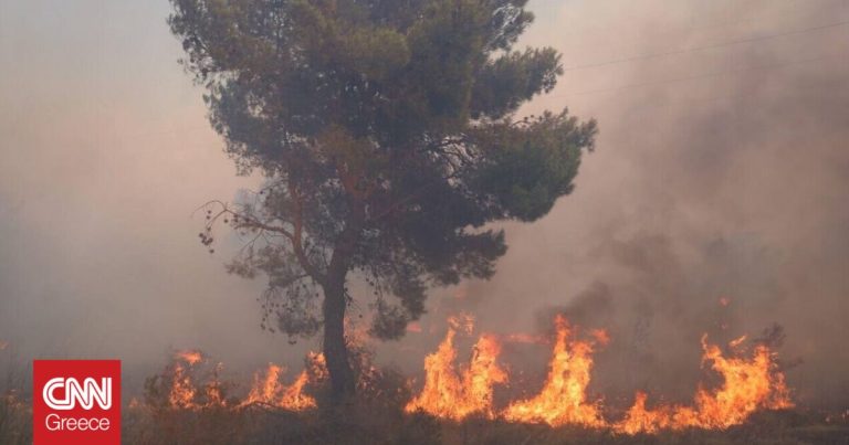 Φωτιά στο Δίστομο Βοιωτίας