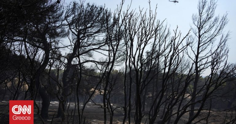 Πάρνηθα: Περισσότερα από 60 χιλιάδες στρέμματα καμένα – Η μισή έκταση εντός Εθνικού Δρυμού