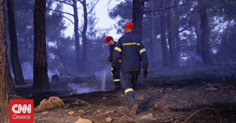 Νέα φωτιά στον Αυλώνα: 12 εστίες μέσα σε ένα 24ωρο στην ίδια περιοχή