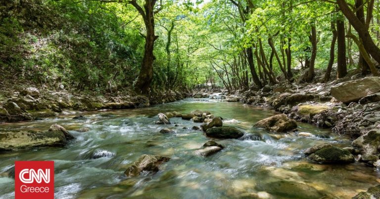 Θα στερέψουν τα ποτάμια στην Ελλάδα; Το κλιματικό σενάριο ερημοποίησης που μας «απειλεί»