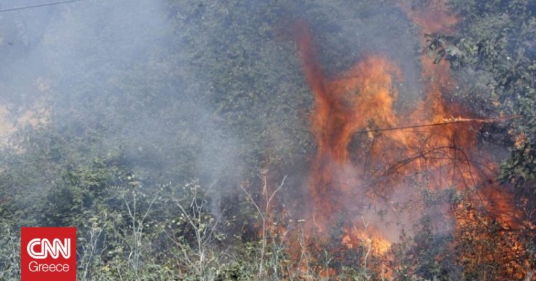 Φωτιά σε δασική έκταση στη Μελία Αλεξανδρούπολης