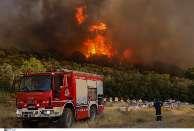 «Μία χαμένη μάχη να σωθούν οι πνεύμονες της Αθήνας»: Το ρεπορτάζ του CNN για την πυρκαγιά στην Πάρνηθα
