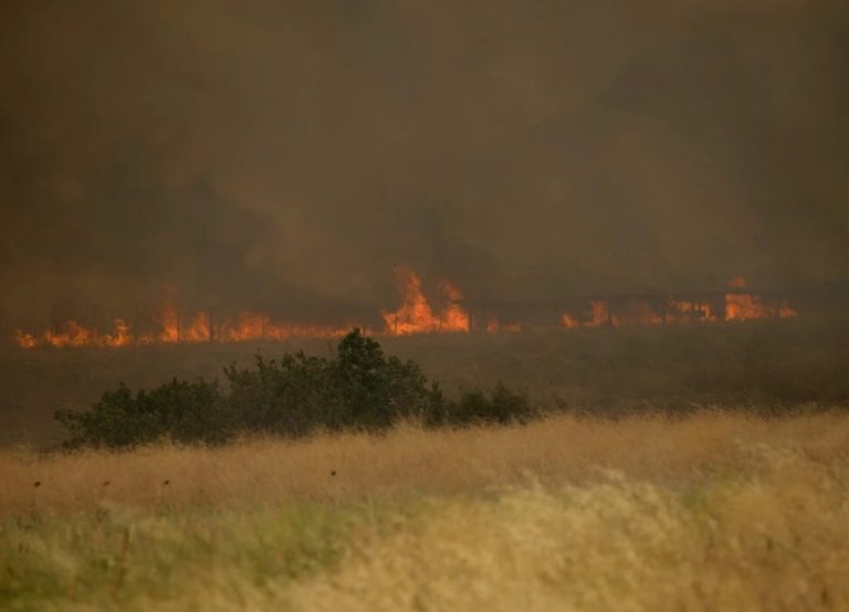 Φωτιά στην Αλεξανδρούπολη: Τηλεοπτικό συνεργείο περικύκλωσαν οι φλόγες – ΒΙΝΤΕΟ