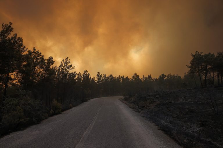 Πυρκαγιές: Στάχτη πάνω από το μισό της έκτασης της Δαδιάς