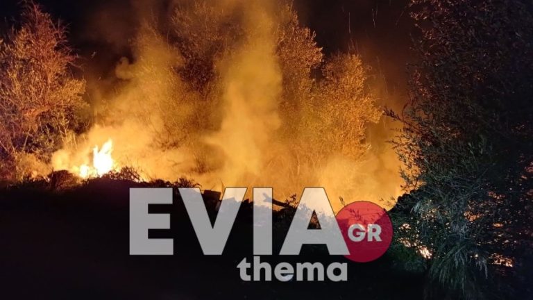Εύβοια: Ξέσπασαν δύο ταυτόχρονες φωτιές σε Λοφίσκο και Νεοχώρι – Άμεση κινητοποίηση της Πυροσβεστικής