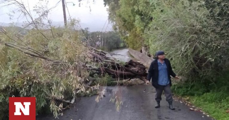 Κακοκαιρία: Καταστροφές και στη Μυτιλήνη – Πτώσεις δέντρων και διακοπές ρεύματος