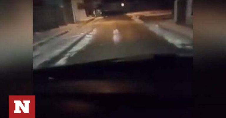 Τρόμος για… οδηγό στην Πτολεμαΐδα: Ήρθε αντιμέτωπος με λύκο στο κέντρο της πόλης!
