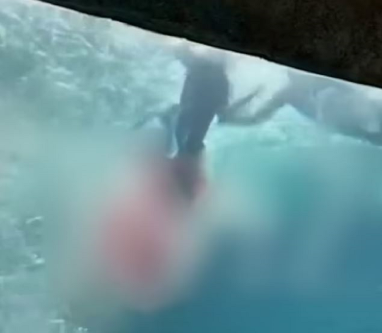 Νέο ανατριχιαστικό βίντεο από την επίθεση καρχαρία σε 10χρονο – «Έγινε κόκκινο το νερό»