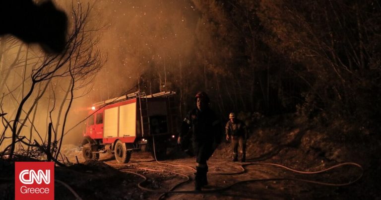 Φωτιά σε δασική έκταση στα Λεχαινά: Ισχυροί άνεμοι δυσκολεύουν την κατάσβεση