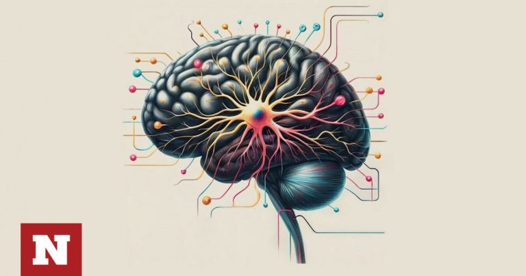 Εξερευνώντας τα μυστικά του εγκεφάλου: Φεστιβάλ Νευροεπιστήμης στο Ίδρυμα Ευγενίδου