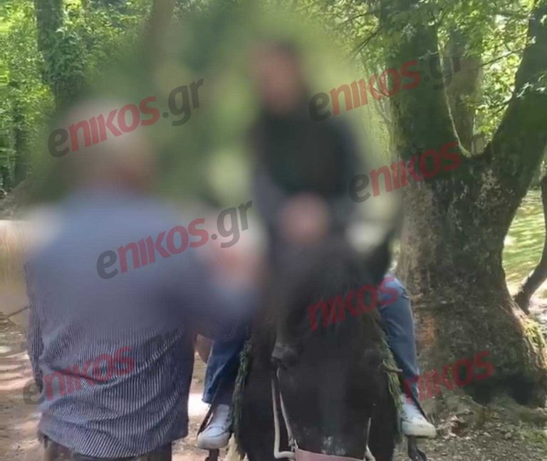 Ημαθία: «Πρόκειται για μεγάλη παρεξήγηση» – Τι λέει στο enikos.gr ο δικηγόρος του ιδιοκτήτη αλόγων που καταγγέλθηκε για σεξουαλική παρενόχληση δύο μαθητριών