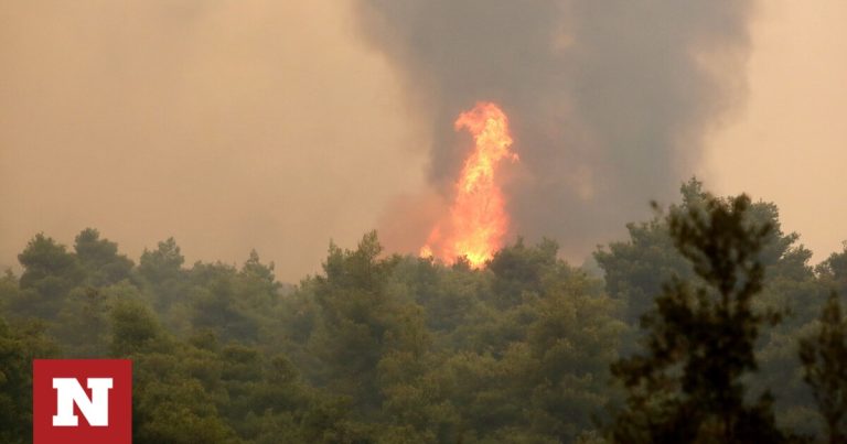 Πυροσβεστική: 18 αγροτοδασικές πυρκαγιές μέσα σε 24 ώρες