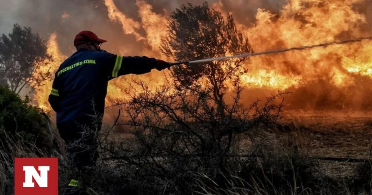 Πυροσβεστική: 23 αγροτοδασικές πυρκαγιές μέσα σε 24 ώρες