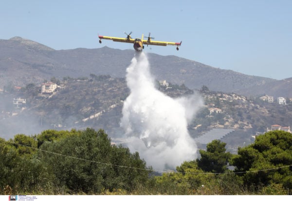 Πολύ υψηλός κίνδυνος πυρκαγιάς τον Δεκαπενταύγουστο – Σε «πορτοκαλί συναγερμό» 9 περιφέρειες