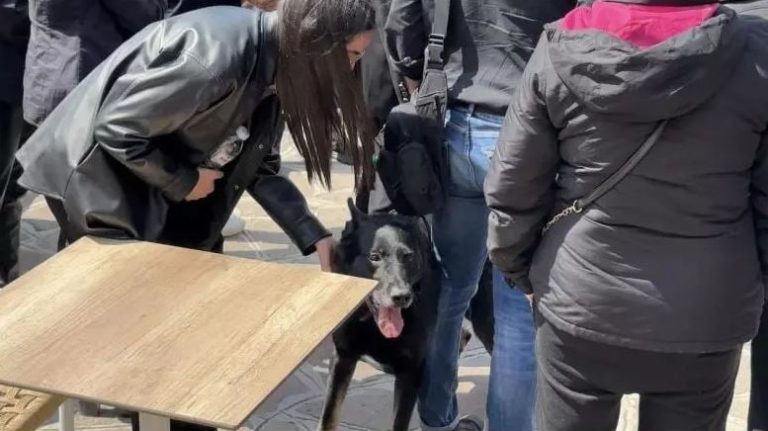 Λέσβος: Θρήνος στην κηδεία του 29χρονου λιμενικού – Συγκίνησε ο σκύλος του που στεκόταν δίπλα στο φέρετρο – ΦΩΤΟ 